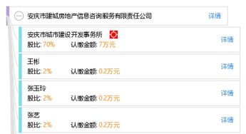 安庆市建城房地产信息咨询服务有限责任公司 专业房地产信息咨询的价值与路径