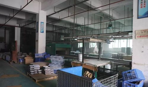 虎门路东一企业违规复工遭再查封，房地产信息咨询行业监管趋严